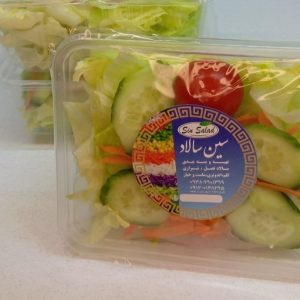 سالاد فصل